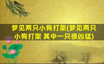 梦见两只小狗打架(梦见两只小狗打架 其中一只很凶猛)